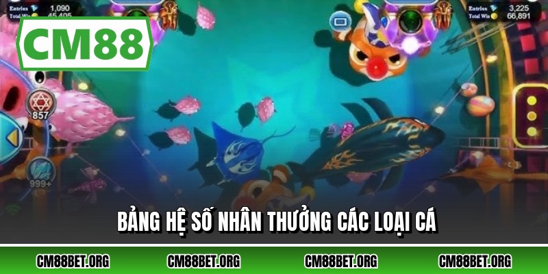 Bảng hệ số nhân thưởng các loại cá