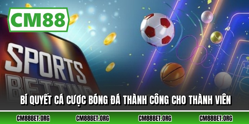 Bí quyết cá cược bóng đá thành công cho thành viên