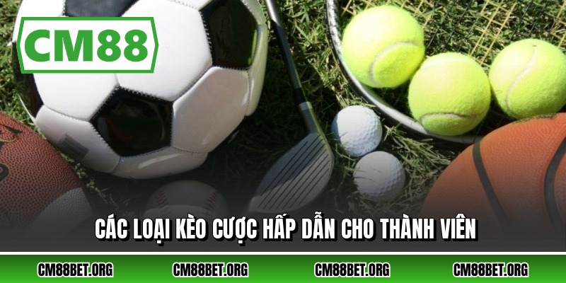 Các loại kèo cược hấp dẫn cho thành viên